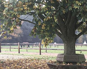 Unterkunft 322302 - Ferienhaus Veluwe - Vakantiehuisje in Vaassen
