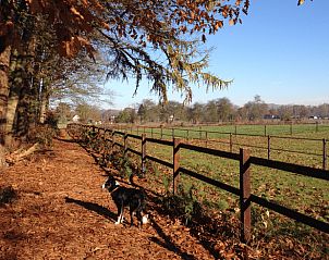 Unterkunft 322302 - Ferienhaus Veluwe - Vakantiehuisje in Vaassen