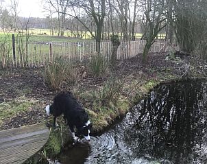 Unterkunft 322302 - Ferienhaus Veluwe - Vakantiehuisje in Vaassen