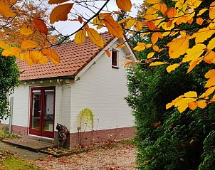 Unterkunft 322303 • Ferienhaus Veluwe • Vakantiehuisje in Vaassen 