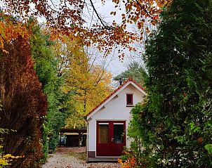 Unterkunft 322303 - Ferienhaus Veluwe - Vakantiehuisje in Vaassen