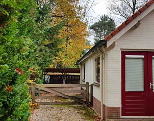 Unterkunft 322303 - Ferienhaus Veluwe - Vakantiehuisje in Vaassen