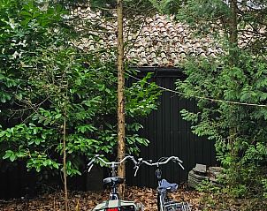 Unterkunft 322303 - Ferienhaus Veluwe - Vakantiehuisje in Vaassen