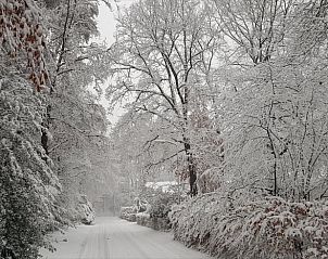 Unterkunft 322303 - Ferienhaus Veluwe - Vakantiehuisje in Vaassen