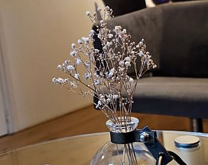 Unterkunft 322303 - Ferienhaus Veluwe - Vakantiehuisje in Vaassen