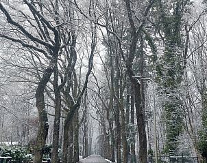 Unterkunft 322303 - Ferienhaus Veluwe - Vakantiehuisje in Vaassen