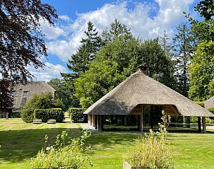 Verblijf 322306 - Vakantiewoning Veluwe - Vakantiehuis in Vaassen