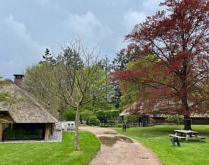 Unterkunft 322306 - Ferienhaus Veluwe - Vakantiehuis in Vaassen