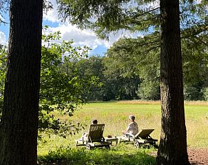 Unterkunft 322306 - Ferienhaus Veluwe - Vakantiehuis in Vaassen
