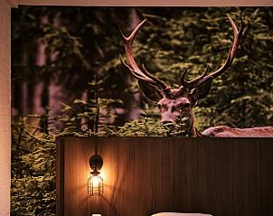 Unterkunft 322309 - Ferienhaus Veluwe - Vakantiehuisje in Vaassen