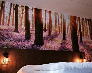 Unterkunft 322309 - Ferienhaus Veluwe - Vakantiehuisje in Vaassen