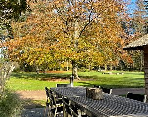 Unterkunft 322311 - Ferienhaus Veluwe - Vakantiehuis in Vaassen