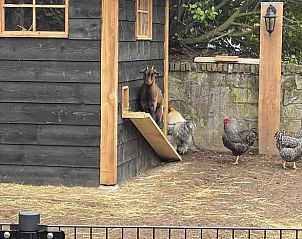 Unterkunft 322312 - Ferienhaus Veluwe - Vakantiehuisje in Vaassen