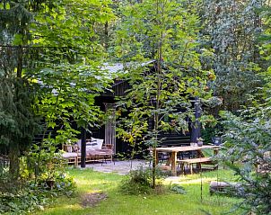 Gezellig vakantiehuis in Hulshorst met groene omgeving op de Veluwe, Gelderland.
