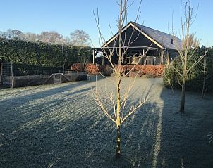 Winterse tuin van Vakantiehuis in Hulshorst met rijp, Veluwe, Gelderland.