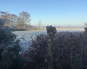 Uitzicht op besneeuwde velden bij Vakantiehuis in Hulshorst, Veluwe.