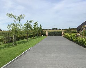 Oprit naar Vakantiehuis in Hulshorst met groene omgeving, Veluwe.