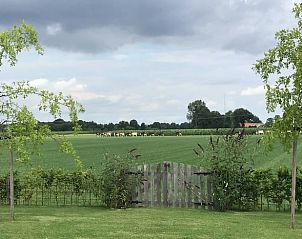 Landelijk uitzicht vanuit Vakantiehuis in Hulshorst, Veluwe, Gelderland.