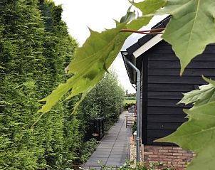 Groene haag en pad bij Vakantiehuis in Hulshorst, Veluwe.