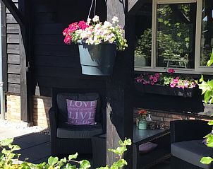 Bloemenrijke veranda bij Vakantiehuis in Hulshorst, Veluwe, Gelderland.