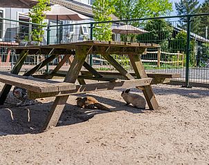 Unterkunft 3224126 - Ferienhaus Veluwe - Tiny Zwarte Mees