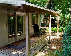 Veranda van Vakantiehuisje in Hulshorst met uitzicht op groen, Veluwe, Gelderland.
