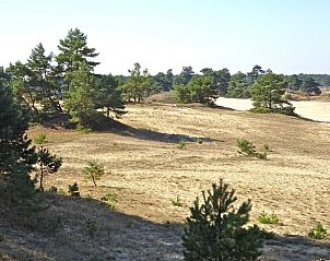 Heidevelden in de omgeving van Vakantiehuisje in Hulshorst, Veluwe, Gelderland.