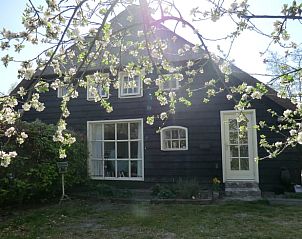 Sfeervol vakantiehuis in Hulshorst met bloesem voorgevel, Veluwe, Gelderland.