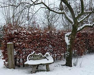 Winterse charme bij vakantiehuis in Hulshorst met besneeuwde tuin, Veluwe, Gelderland.