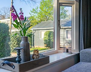 Unterkunft 322429 - Chalet Veluwe - Vakantiehuis Vos