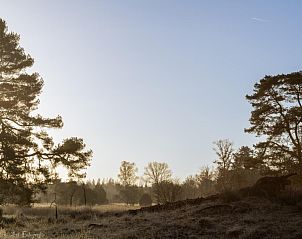 Unterkunft 322429 - Chalet Veluwe - Vakantiehuis Vos