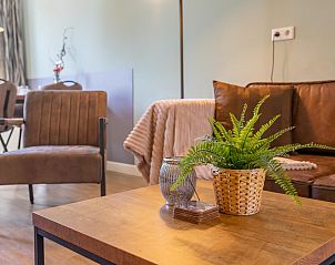 Gezellige zithoek in Pimpelmees vakantiewoning in Hulshorst, Veluwe met decoratieve planten.