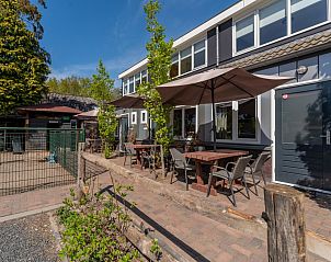 Zonnig terras van vakantiehuis Koolmees in Hulshorst, Veluwe met groene planten en comfortabele zitplaatsen.