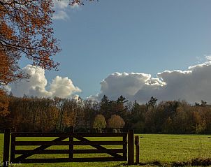 Prachtig uitzicht op de natuur rondom vakantiehuis Zwarte Mees, Hulshorst, Veluwe. Groene velden en blauwe lucht.