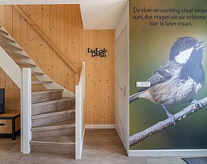 Trap met houten afwerking in vakantiehuis Zwarte Mees, Hulshorst. Decoratieve muur met afbeelding van een mees.