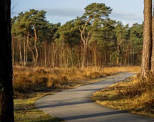 Wandelpad door de natuur nabij vakantiehuis Zwarte Mees, Hulshorst. Rustige bosomgeving met kronkelend pad.