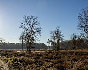 Open veld in de buurt van vakantiehuis Zwarte Mees, Hulshorst. Uitgestrekte heide met bomen en heldere lucht.