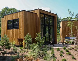 Verblijf 322449 - Vakantiewoning Veluwe - Tiny House Plus