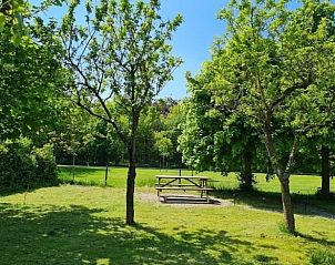 Verblijf 322462 - Vakantiewoning Veluwe - Huisje in Hulshorst