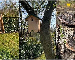Verblijf 322462 - Vakantiewoning Veluwe - Huisje in Hulshorst