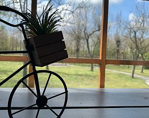 Verblijf 322462 - Vakantiewoning Veluwe - Huisje in Hulshorst