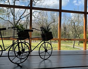 Verblijf 322462 - Vakantiewoning Veluwe - Huisje in Hulshorst