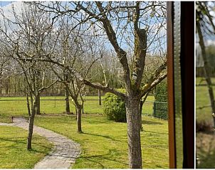 Verblijf 322462 - Vakantiewoning Veluwe - Huisje in Hulshorst