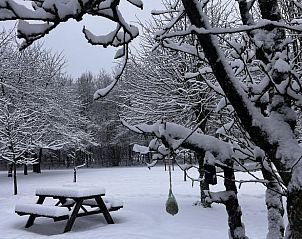 Verblijf 322462 - Vakantiewoning Veluwe - Huisje in Hulshorst