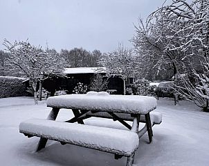 Verblijf 322462 - Vakantiewoning Veluwe - Huisje in Hulshorst