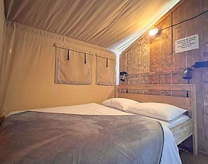 Verblijf 322480 - Tenthuis Veluwe - De Mier