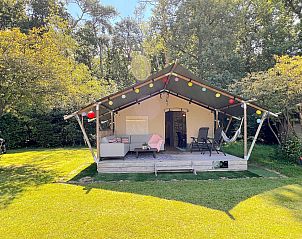 Verblijf 322480 - Tenthuis Veluwe - De Mier