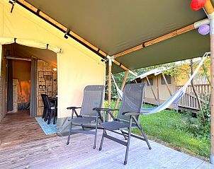 Verblijf 322480 - Tenthuis Veluwe - De Mier