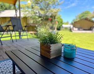 Verblijf 322482 - Tenthuis Veluwe - de Krekel