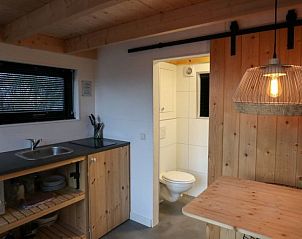 Keuken en badkamer in Vakantiehuis Tiny House 2 Hulshorst Veluwe, met praktische indeling.